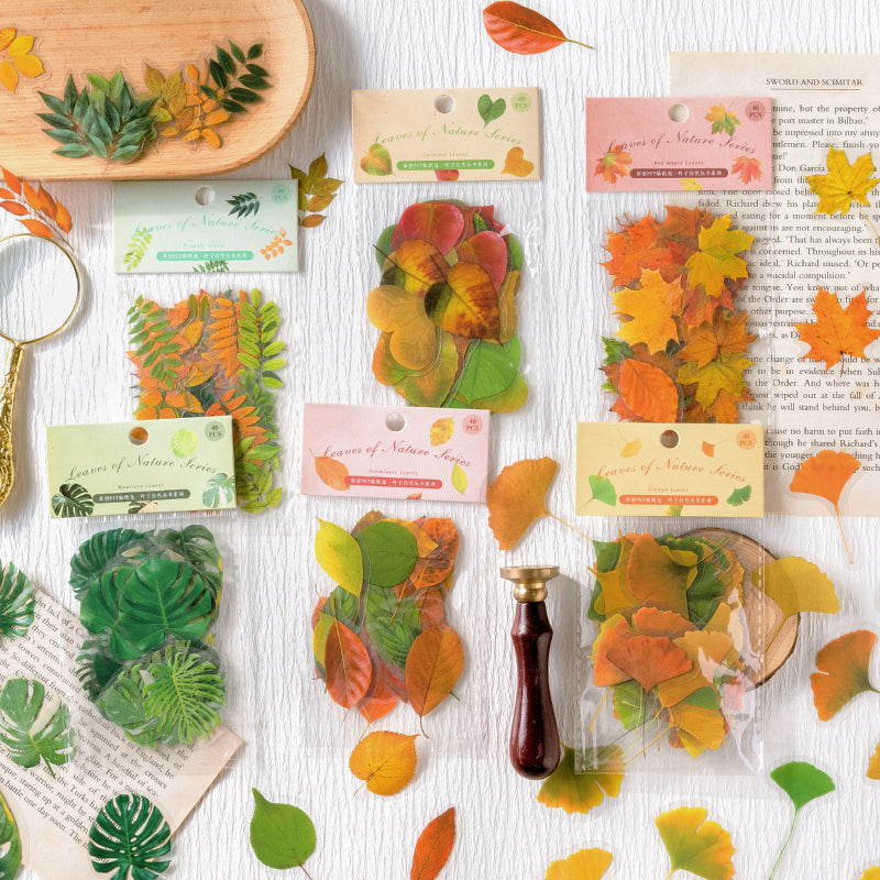 Nature Series Plant Leaves Clear Transparent Sticker Pack