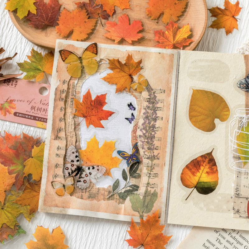 Nature Series Plant Leaves Clear Transparent Sticker Pack