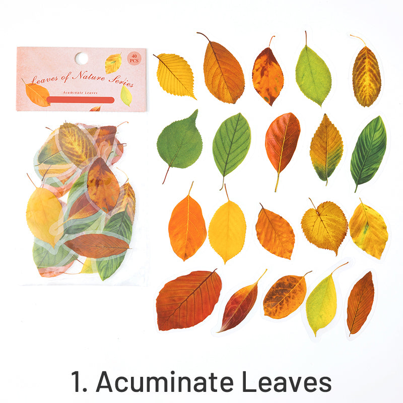 Nature Series Plant Leaves Clear Transparent Sticker Pack