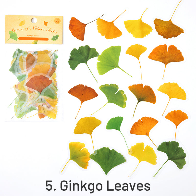 Nature Series Plant Leaves Clear Transparent Sticker Pack