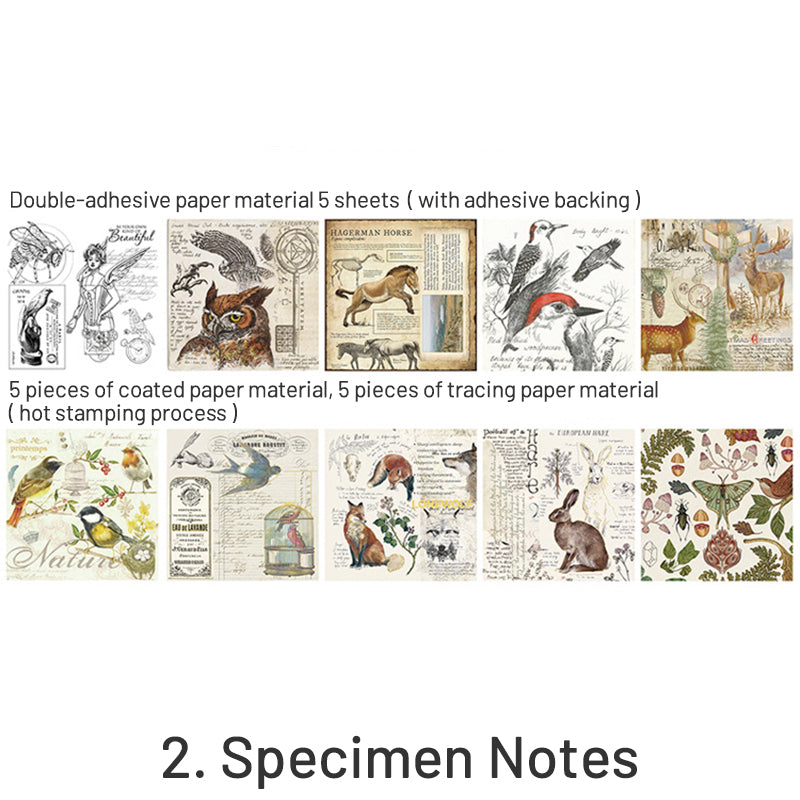 Vintage Hot Stamping Flower Botanical Illustrated Sticker Pack