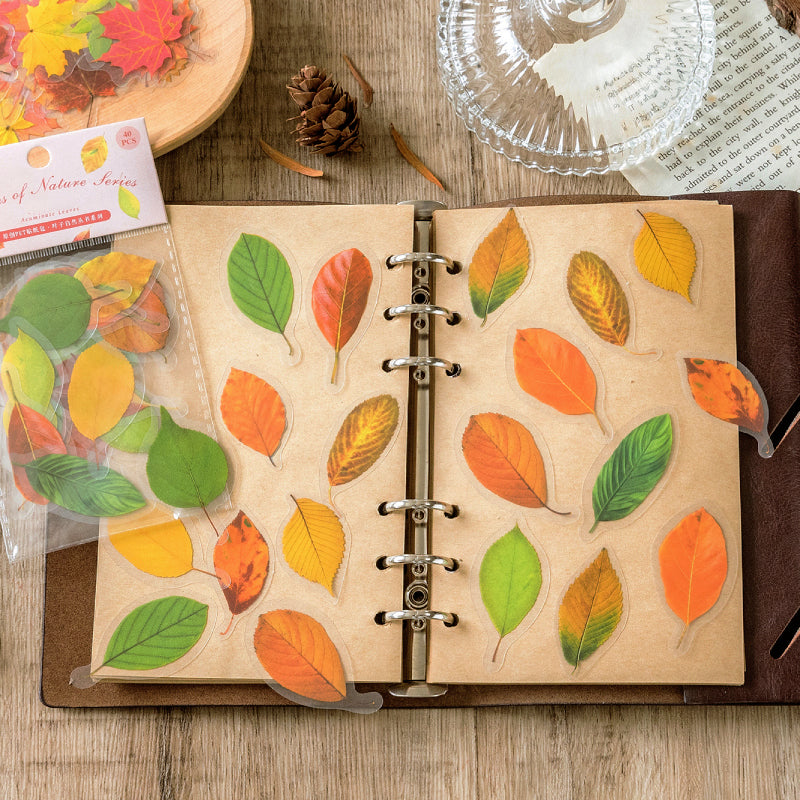 Nature Series Plant Leaves Clear Transparent Sticker Pack
