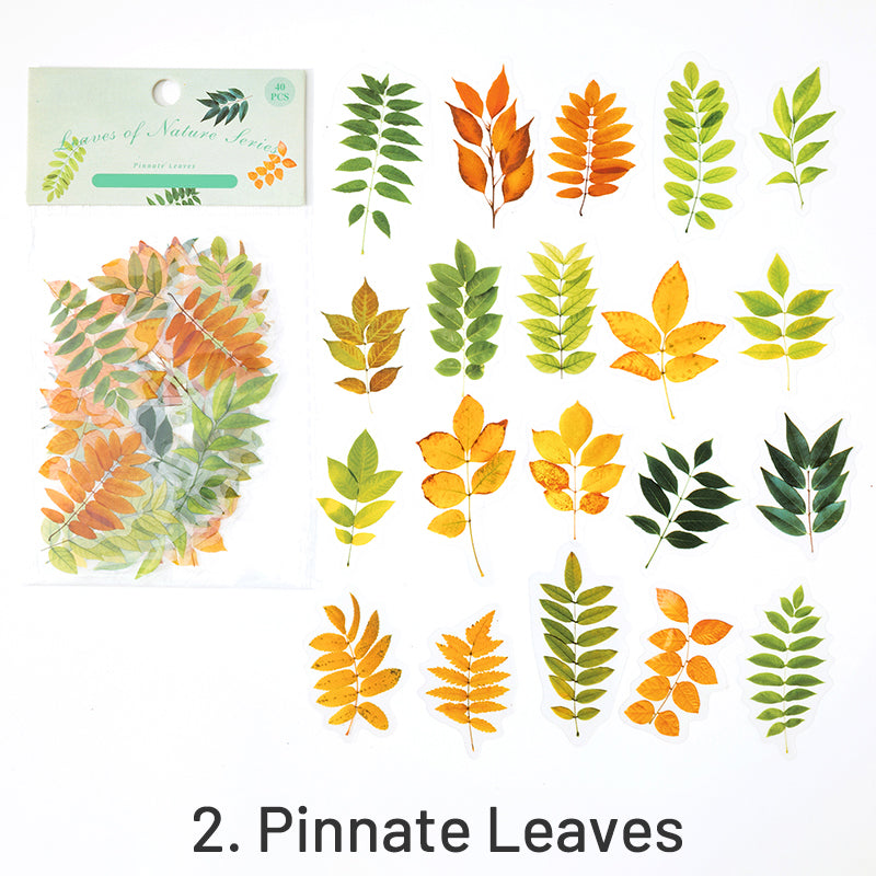 Nature Series Plant Leaves Clear Transparent Sticker Pack