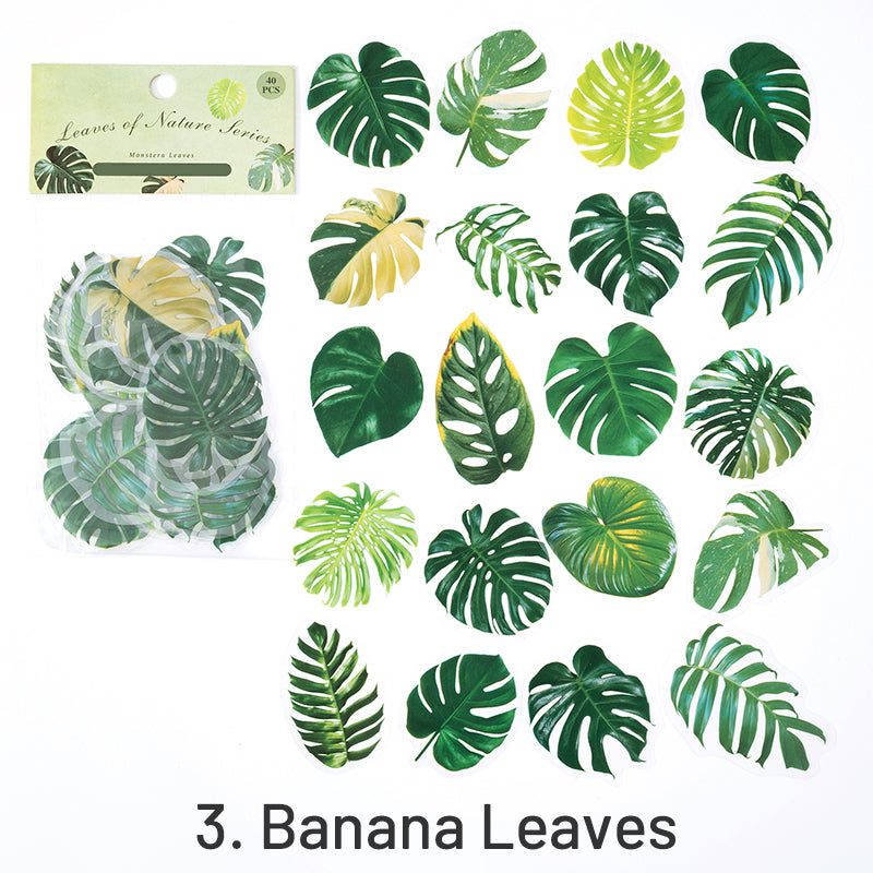 Nature Series Plant Leaves Clear Transparent Sticker Pack