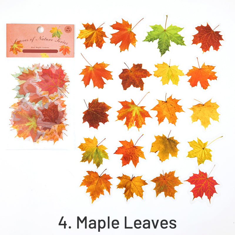 Nature Series Plant Leaves Clear Transparent Sticker Pack