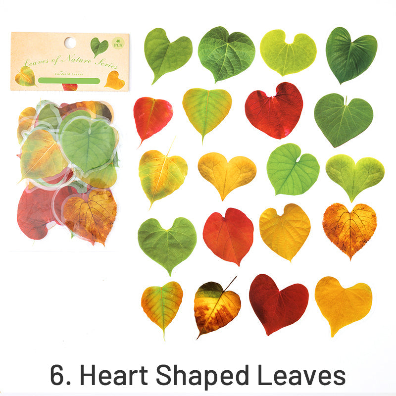 Nature Series Plant Leaves Clear Transparent Sticker Pack