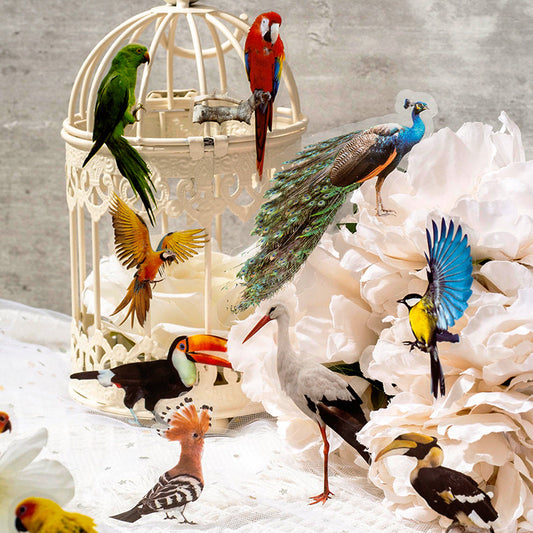 Vintage Colorful Birds Clear Transparent Sticker Pack