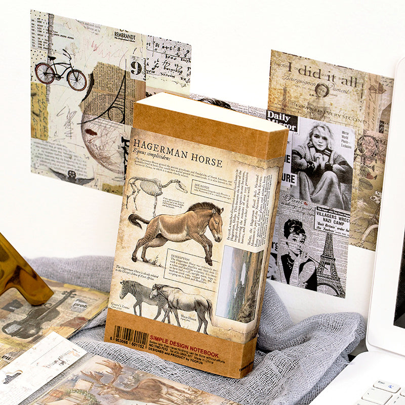 Vintage Hot Stamping Flower Botanical Illustrated Sticker Pack